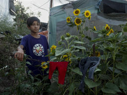 Mental Health in Moria, Lesbos