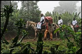 Sidama mother and child project, Ethiopia