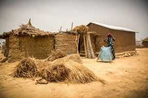 Lake Tchad Crisis: Responding to the humanitarian consequences of violence  (Extreme North Cameroon)