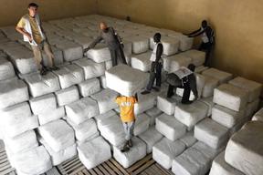 Guinea - Treating malaria within the community